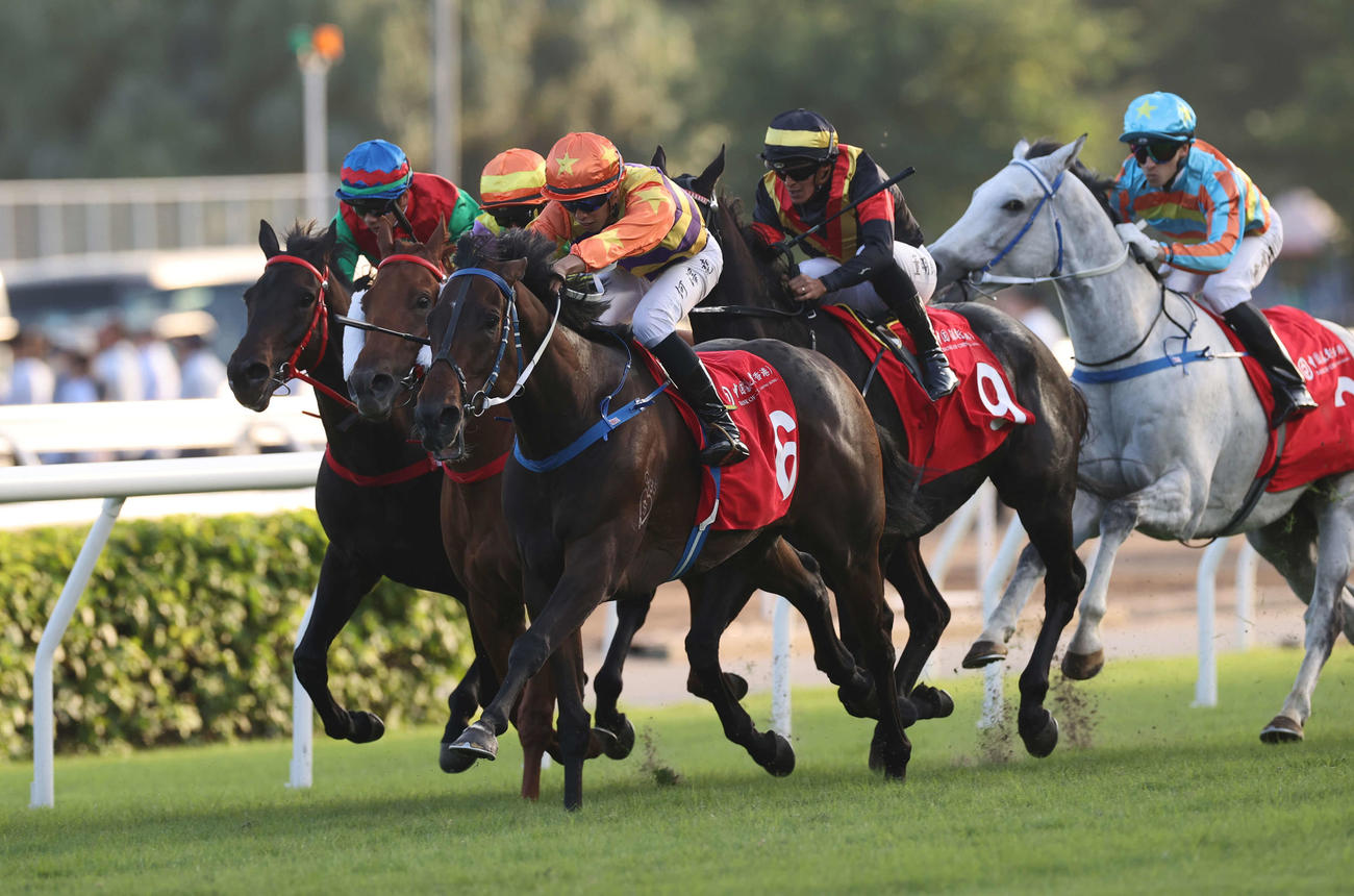 ジョッキークラブCを制したストレイトアーロン（C）The Hong Kong Jockey Club