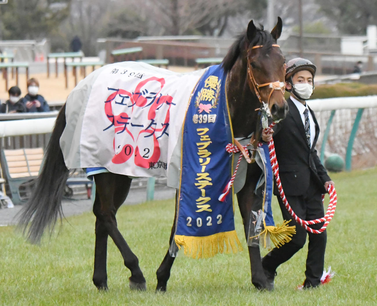 フェブラリーSを制したカフェファラオ（2022年2月20日撮影）