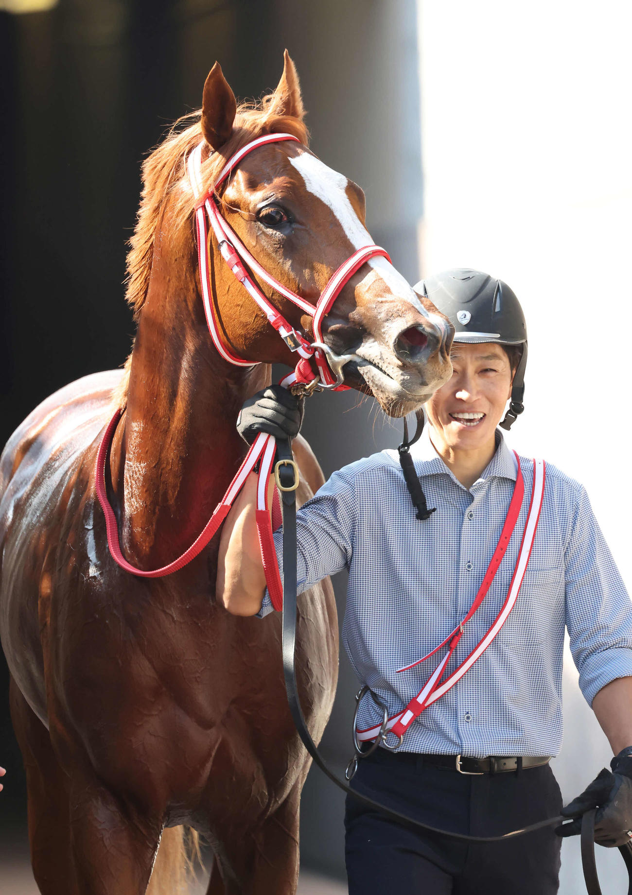 凱旋門賞馬の全弟シンエンペラー