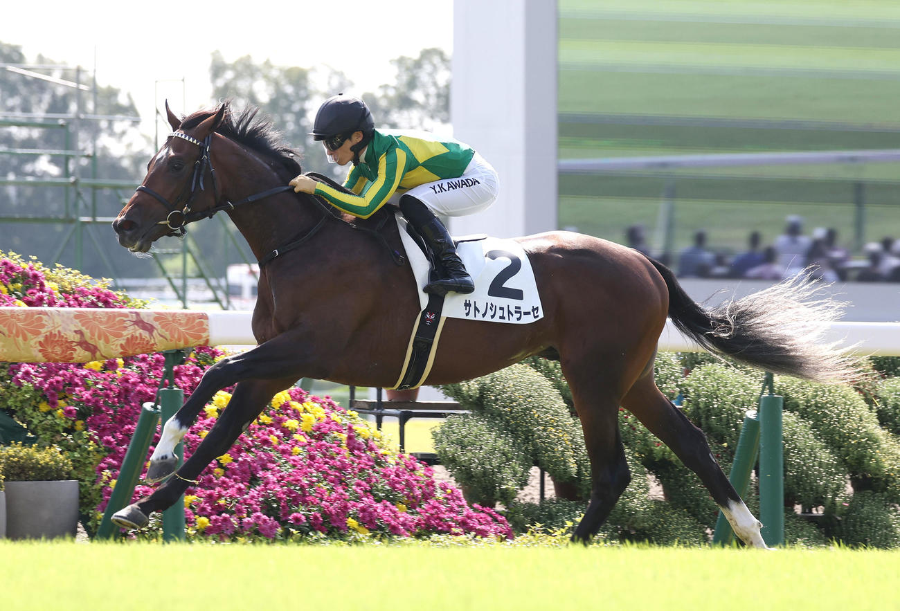 10月15日、2歳未勝利を勝ち上がったサトノシュトラーセ