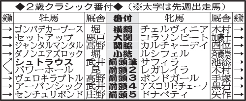 2歳クラシック番付