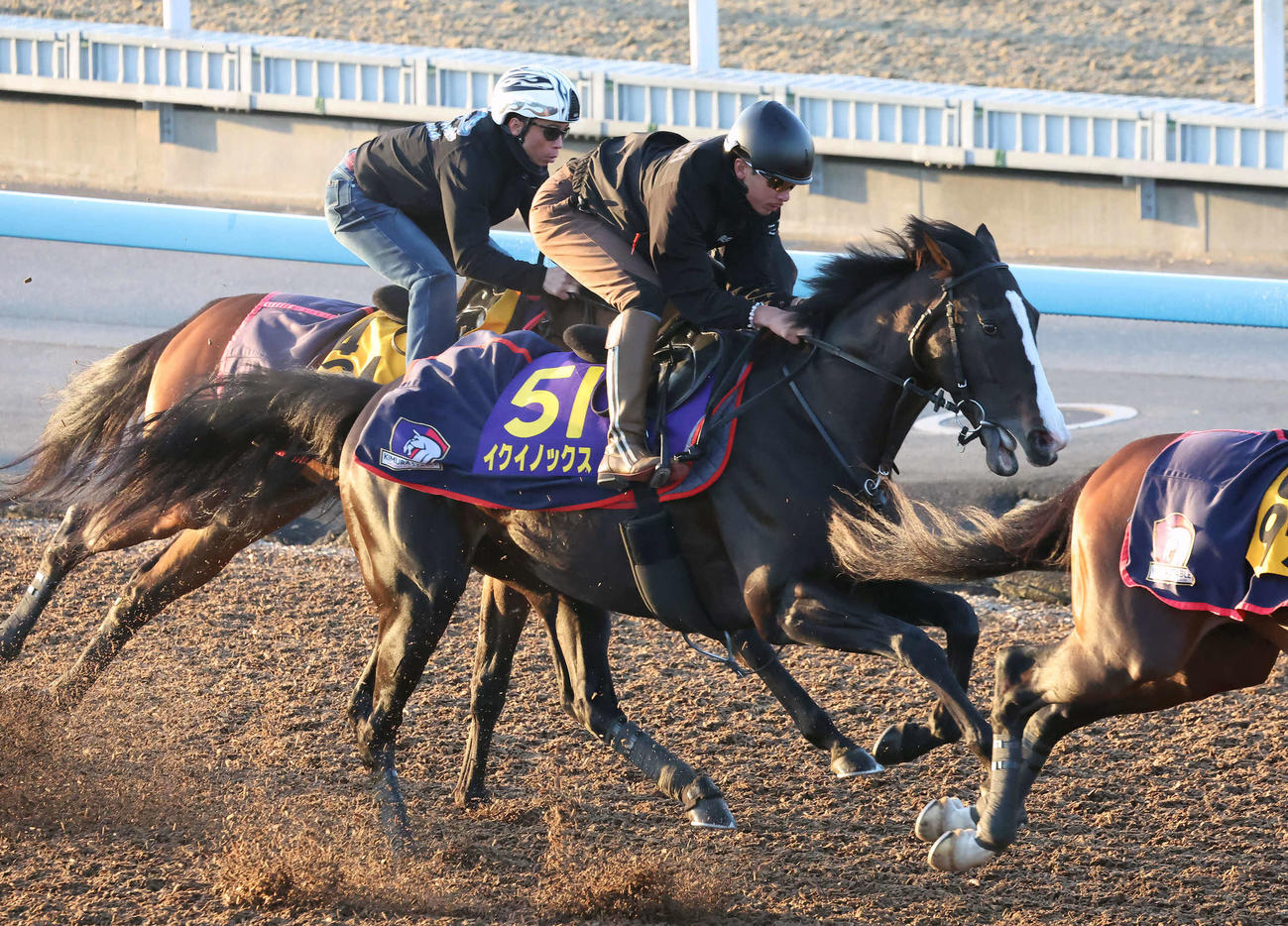 イクイノックス（中央）は美浦ウッドを3頭併せで追い切られた（撮影・丹羽敏通）