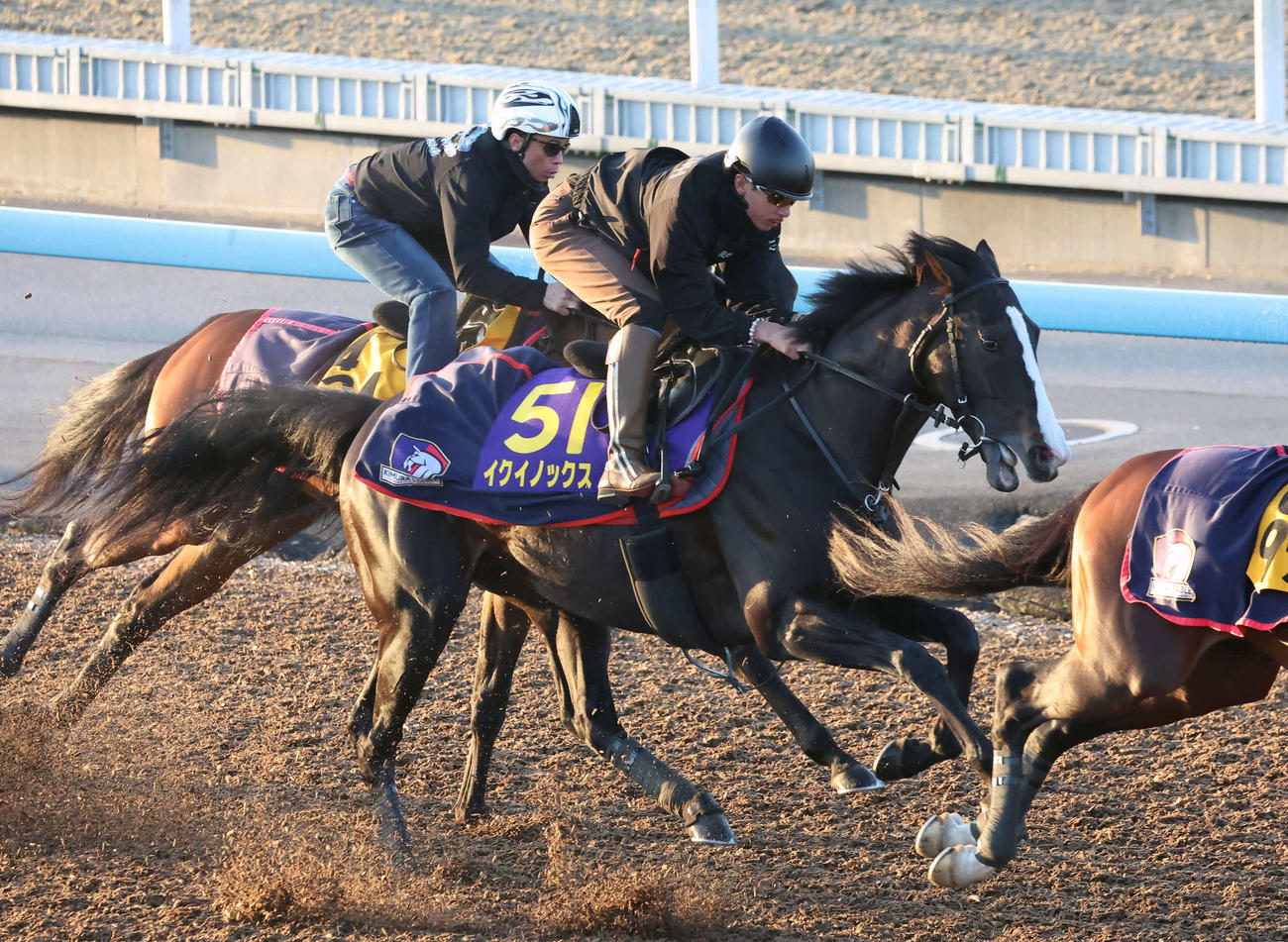 イクイノックス（中央）は美浦ウッドを3頭併せで追い切られた（撮影・丹羽敏通）