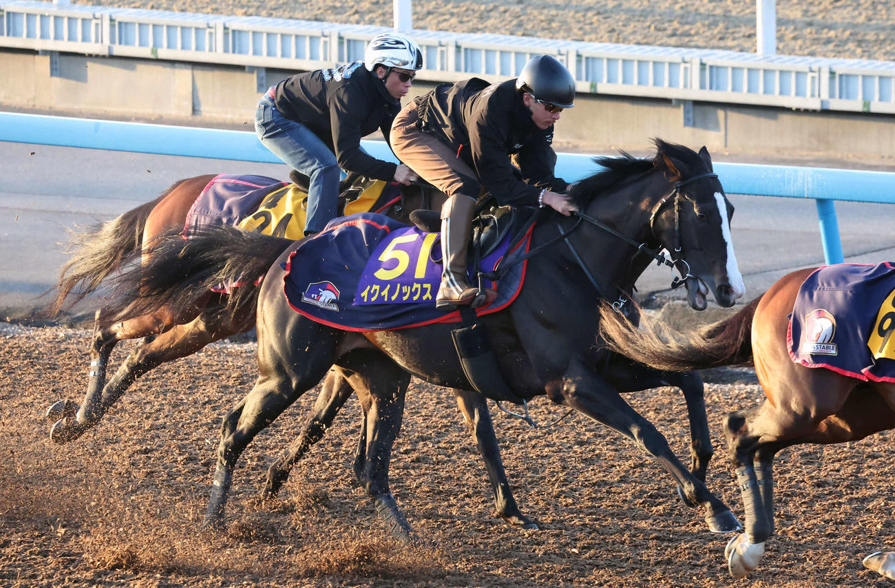 イクイノックス（中央）は美浦ウッドを3頭併せで追い切られた（撮影・丹羽敏通）