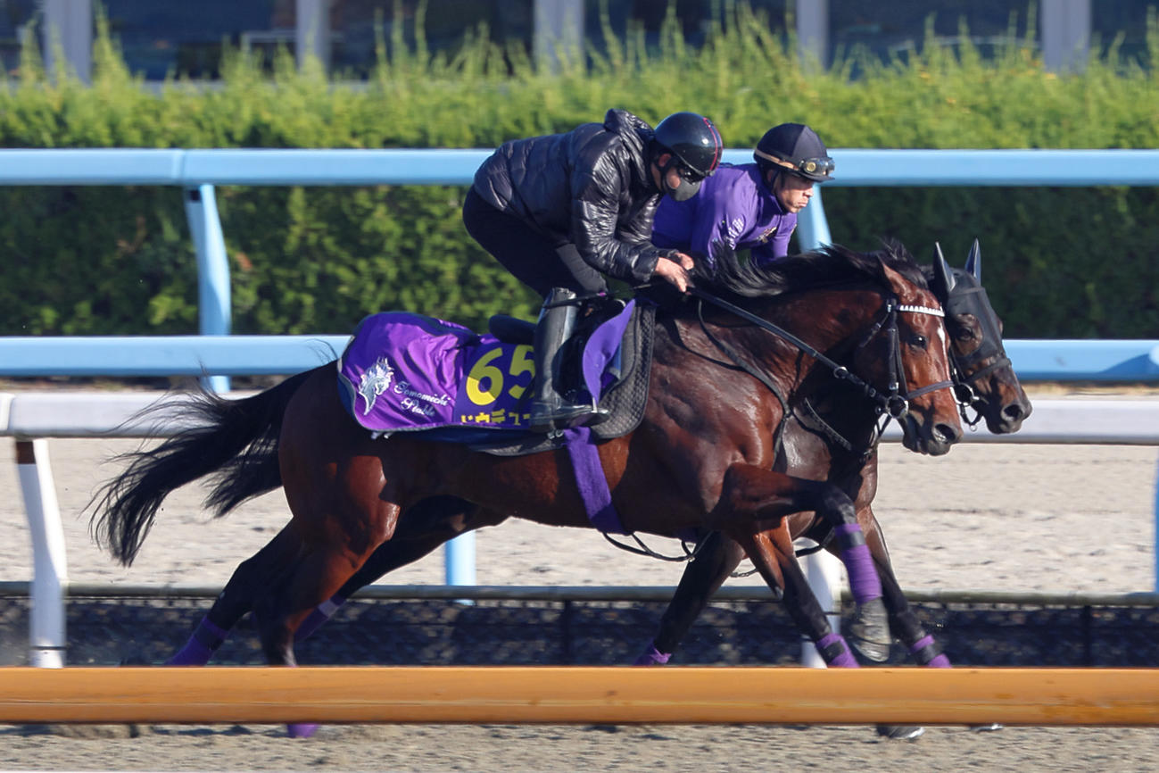 併せ馬で時計を出したドウデュース（手前）