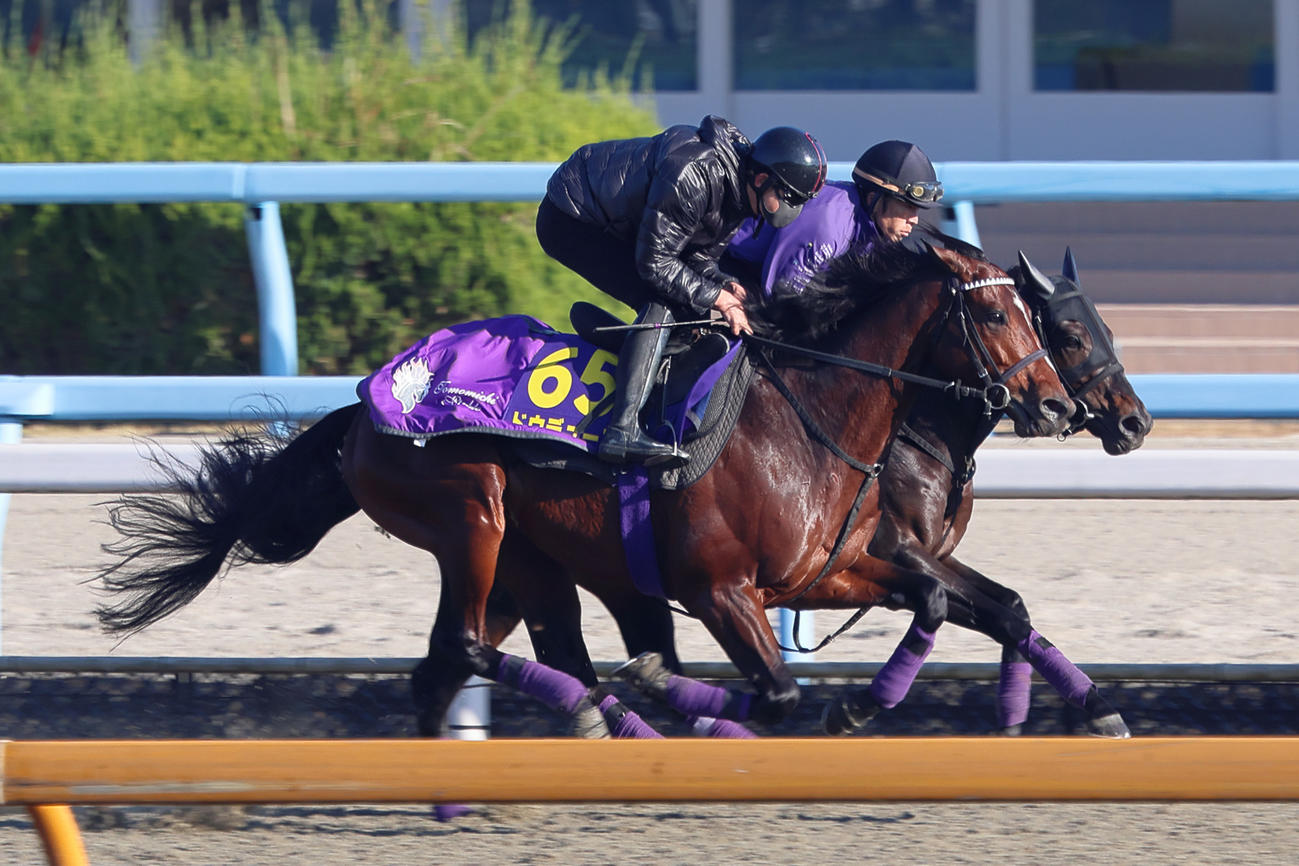 併せ馬で時計を出したドウデュース（手前）