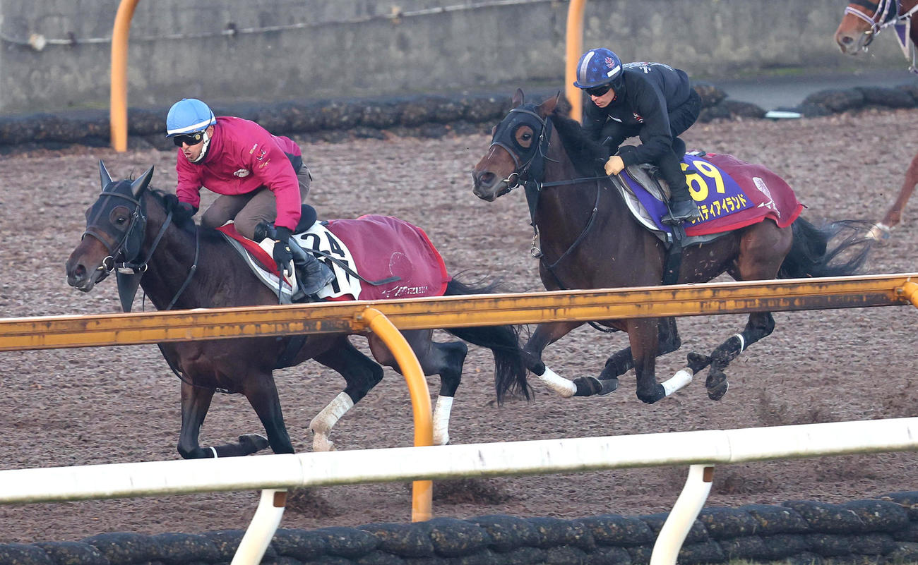 川田騎手を背にCウッドをレッドラグラス（左）と併せ馬で追い切るリバティアイランド（撮影・白石智彦）