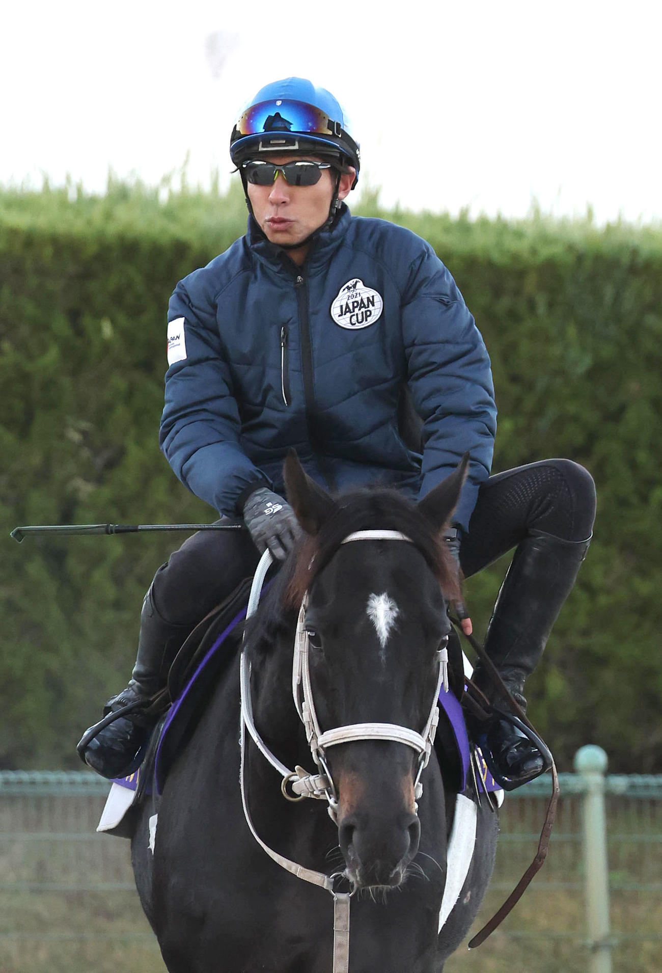 和田竜騎手を背にスタンド前で運動するディープボンド（撮影・白石智彦）