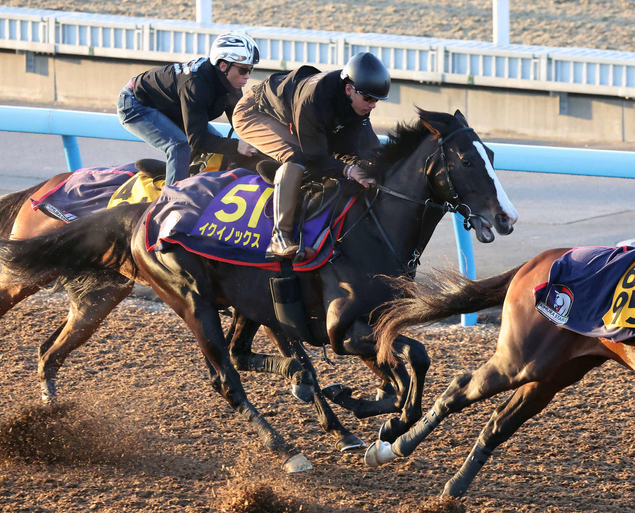 イクイノックス（中央）は美浦ウッドを力強いフットワークで駆け抜けた（撮影・丹羽敏通）
