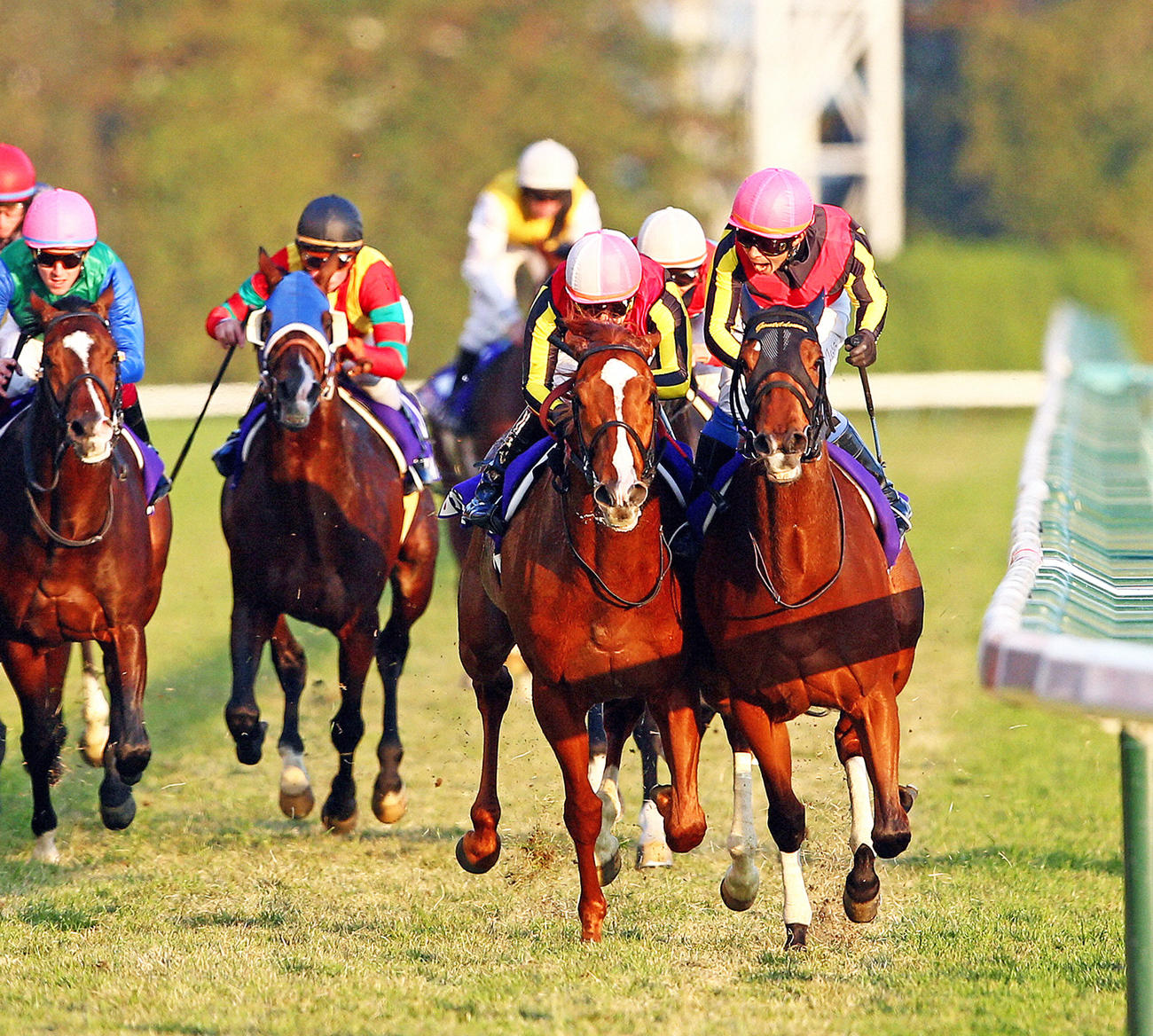 2012年、ジェンティルドンナでジャパンCを制した岩田康騎手（右）は、2着オルフェーヴルの池添騎手に向かってほえる