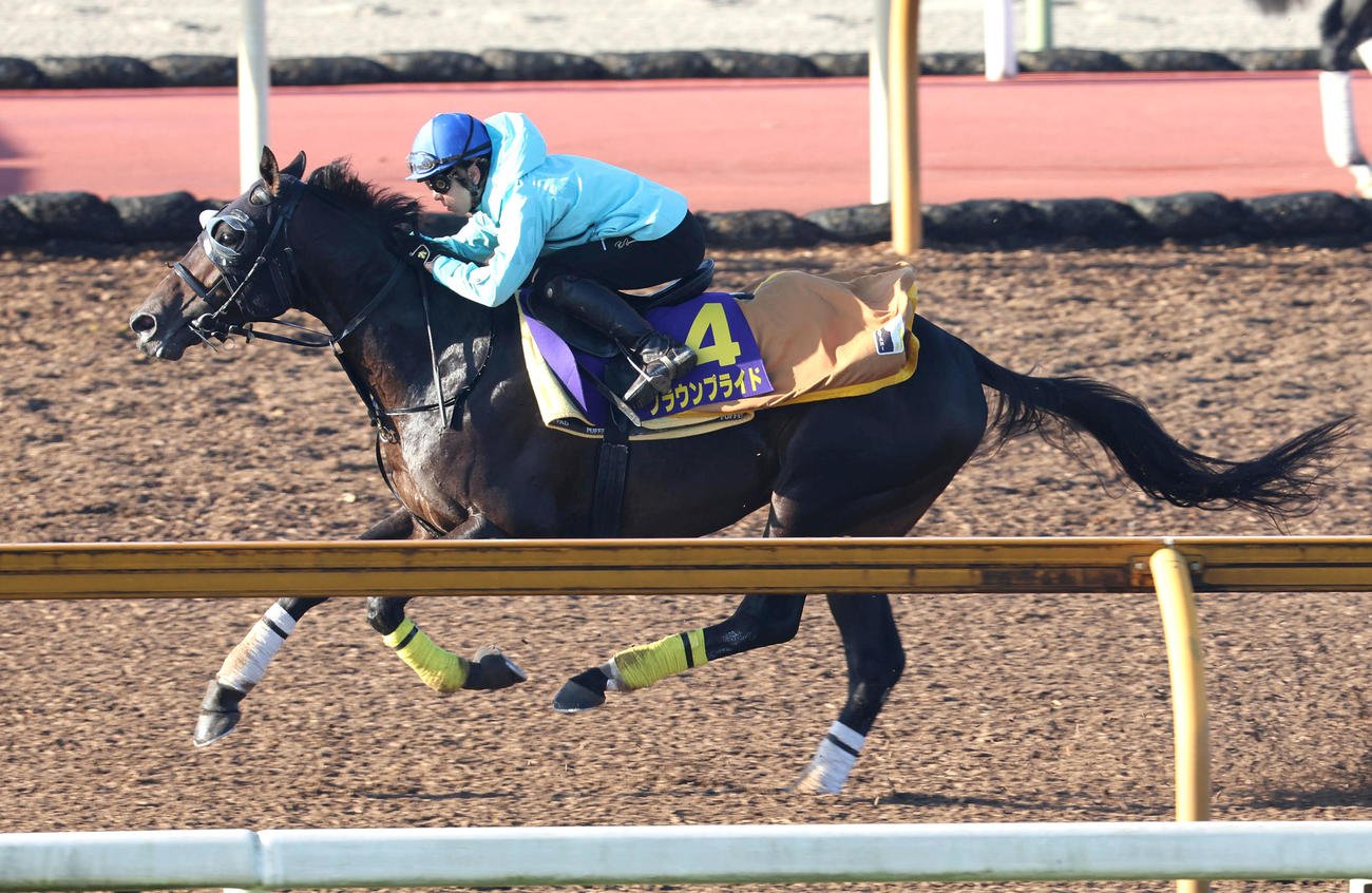 小崎騎手を背にCウッドを単走で追い切るクラウンプライド（撮影・白石智彦）