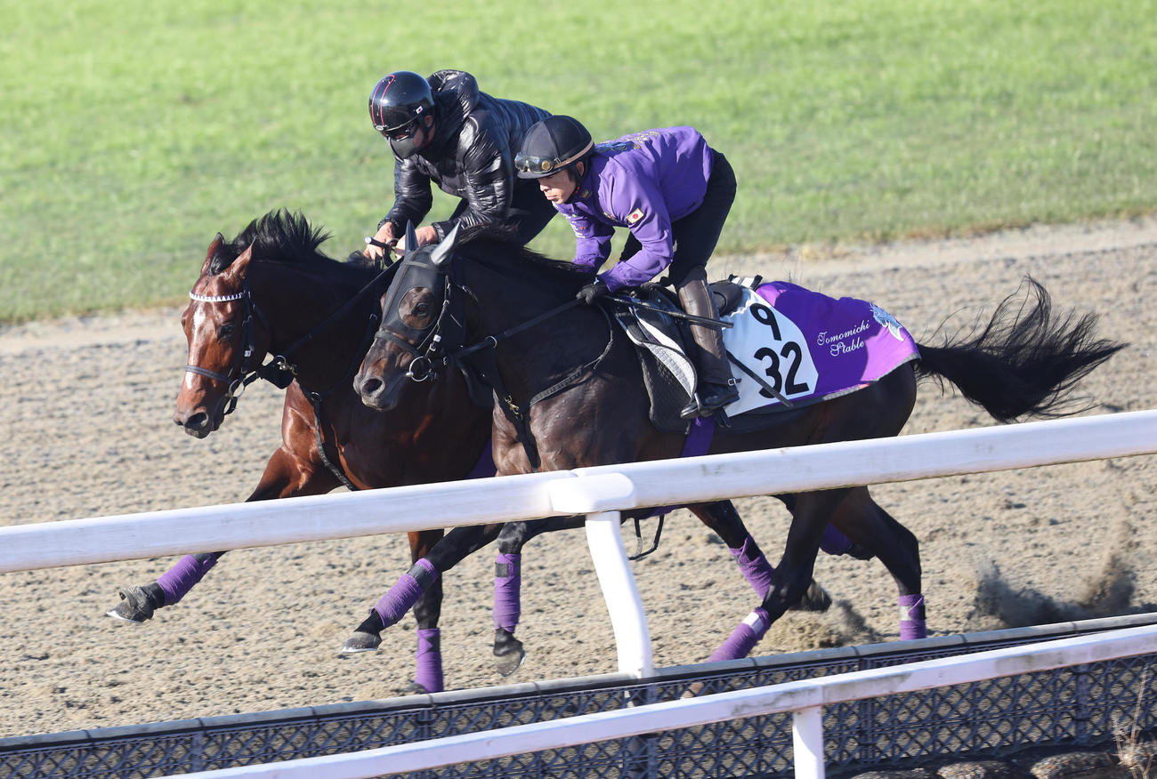ポリトラックをジュンブルースカイ（右）と併せ馬で追い切るドウデュース（撮影・白石智彦）