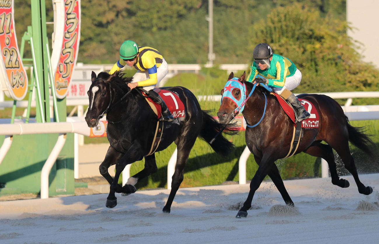兵庫ジュニアグランプリを制したイーグルノワールと松山騎手（左）