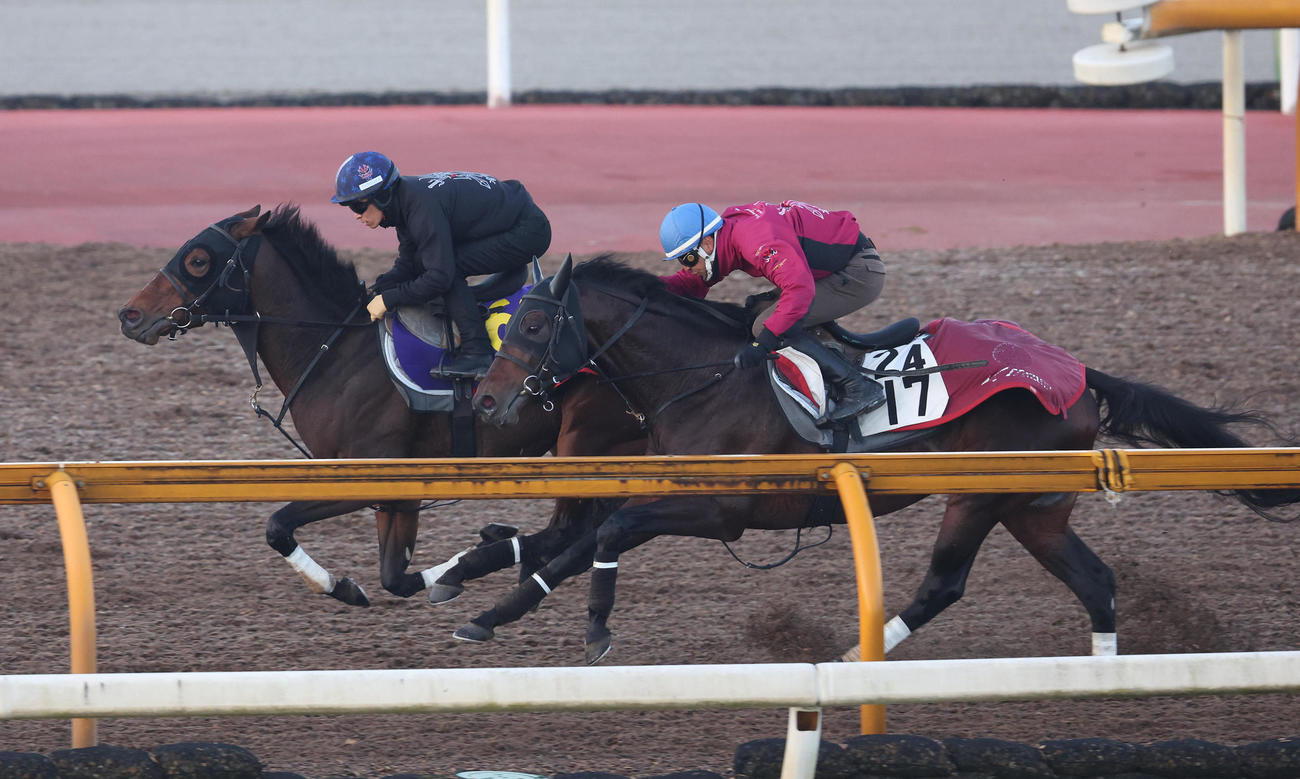 川田騎手を背にCウッドをレッドラグラス（右）と併せ馬で追い切るリバティアイランド（撮影・白石智彦）