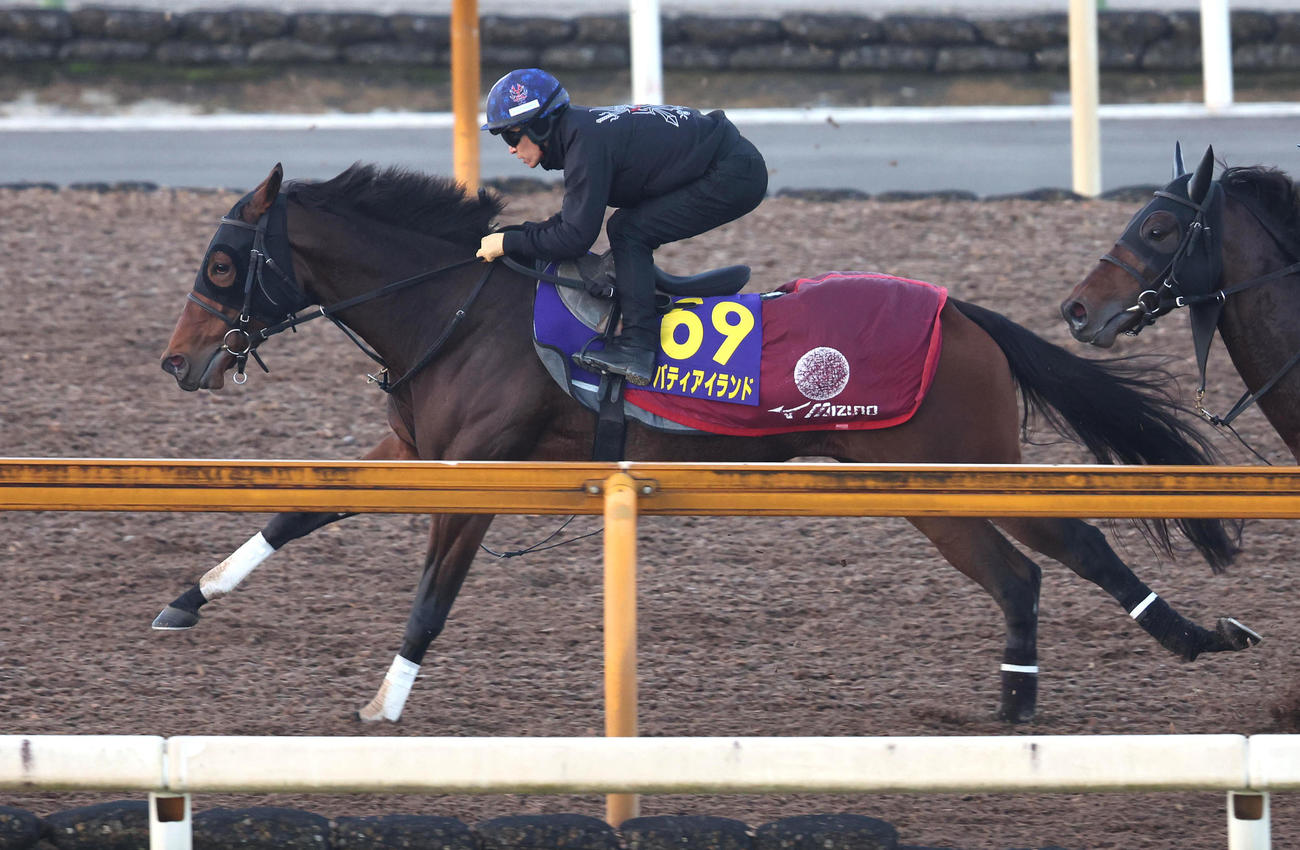 川田騎手を背にCウッドを併せ馬で追い切るリバティアイランド（撮影・白石智彦）