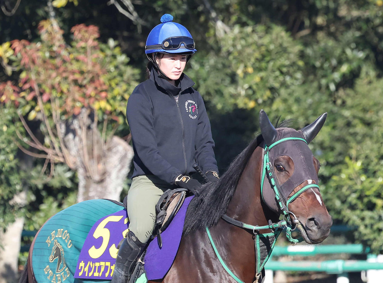 ジャパンCにウインエアフォルクで挑む藤田騎手（撮影・丹羽敏通）