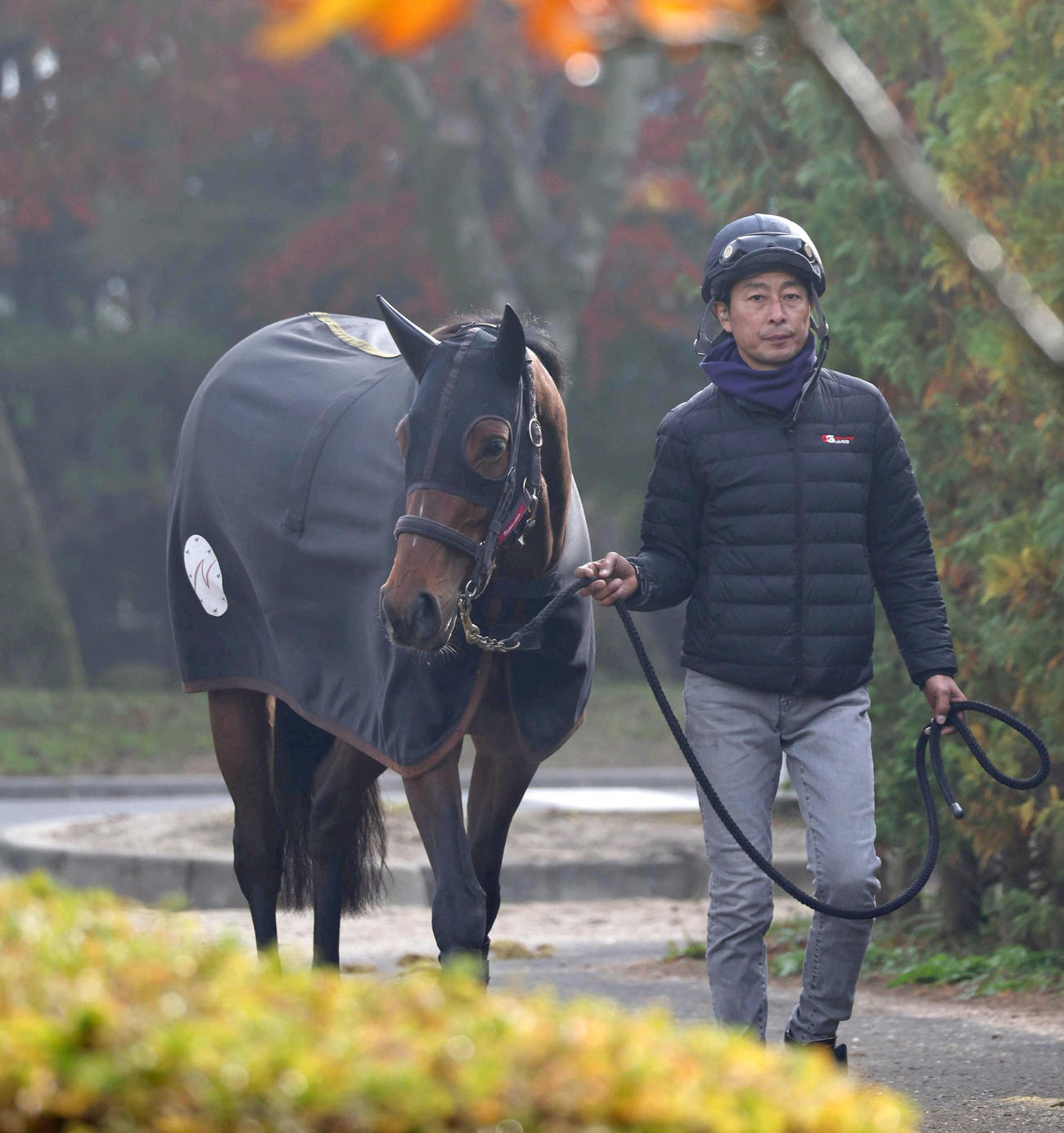 厩舎周りで運動するリバティアイランド（撮影・白石智彦）