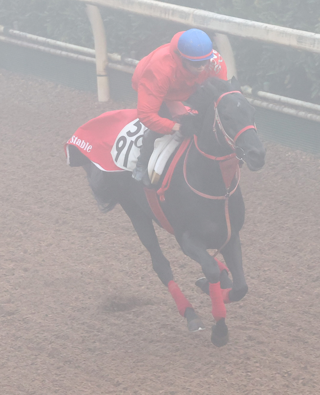 霧の中、坂路で追い切るグレイトゲイナー