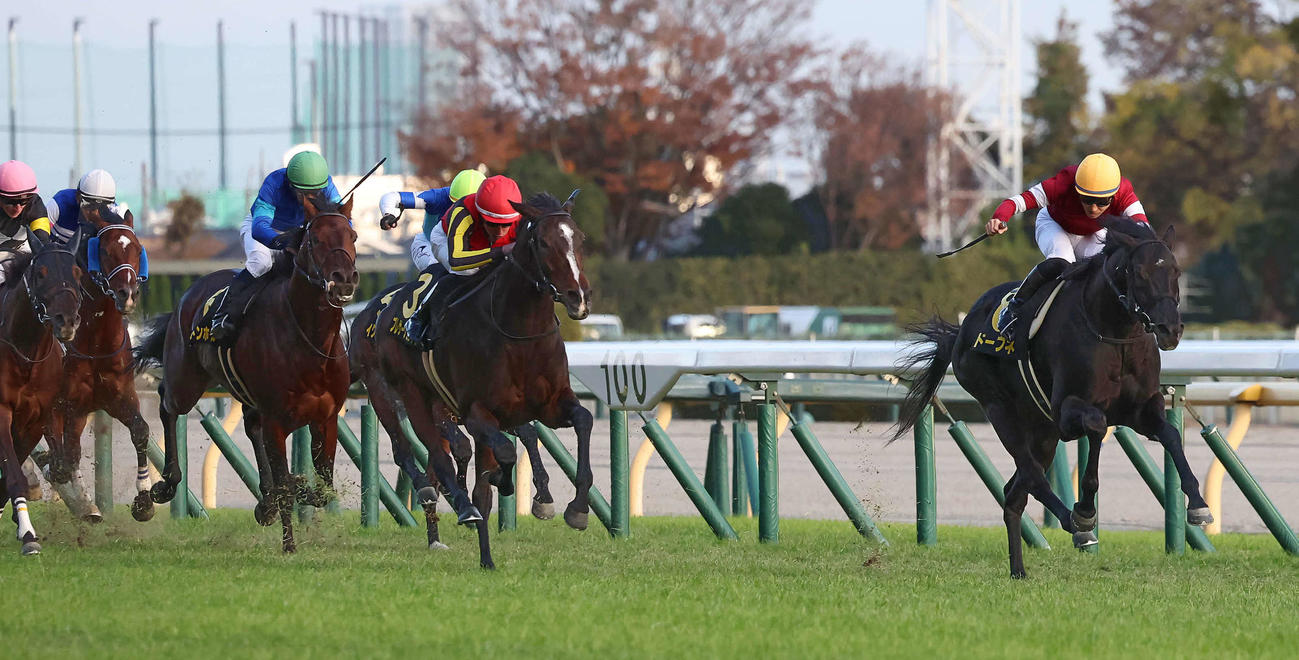 キャピタルSを制したドーブネと吉田隼騎手（右）。中央は2着プレサージュリフト（撮影・丹羽敏通）