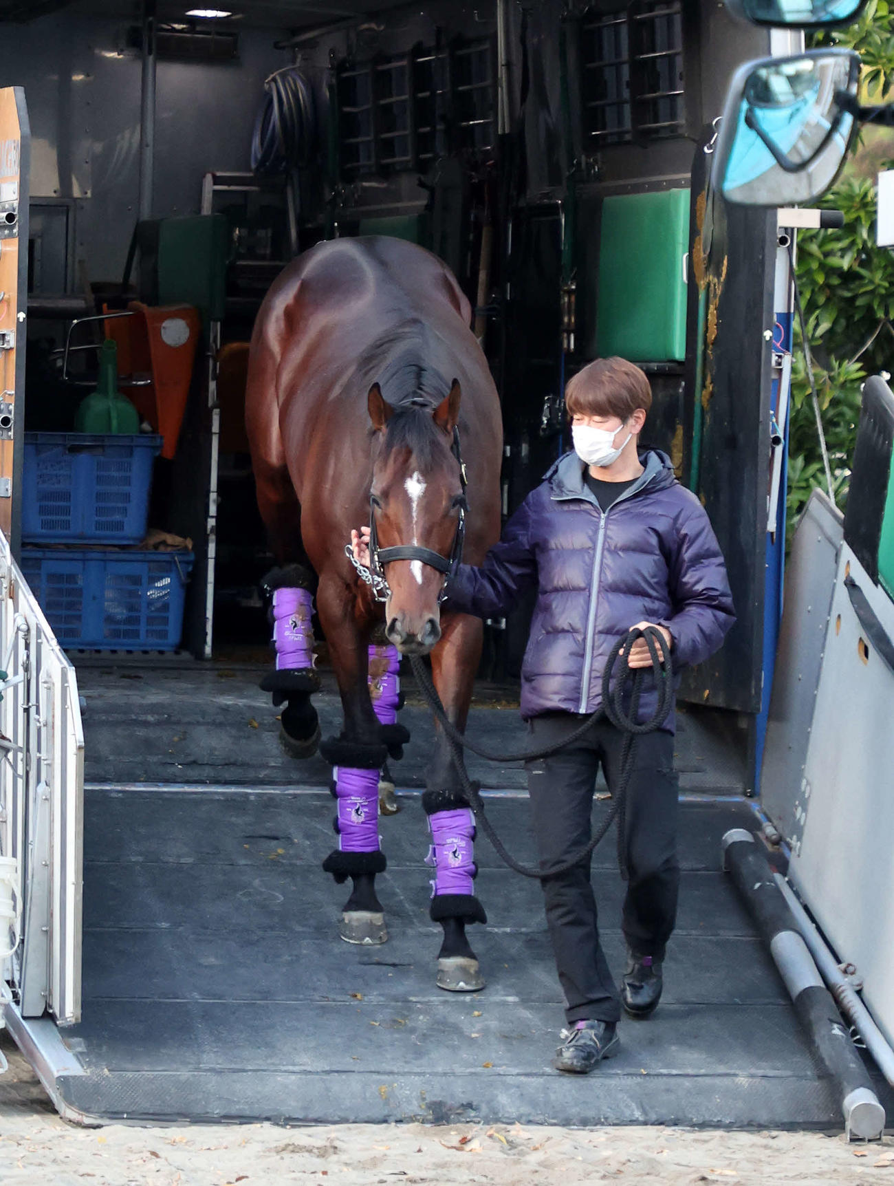 東京競馬場に到着したドウデュース（撮影・鈴木正人）
