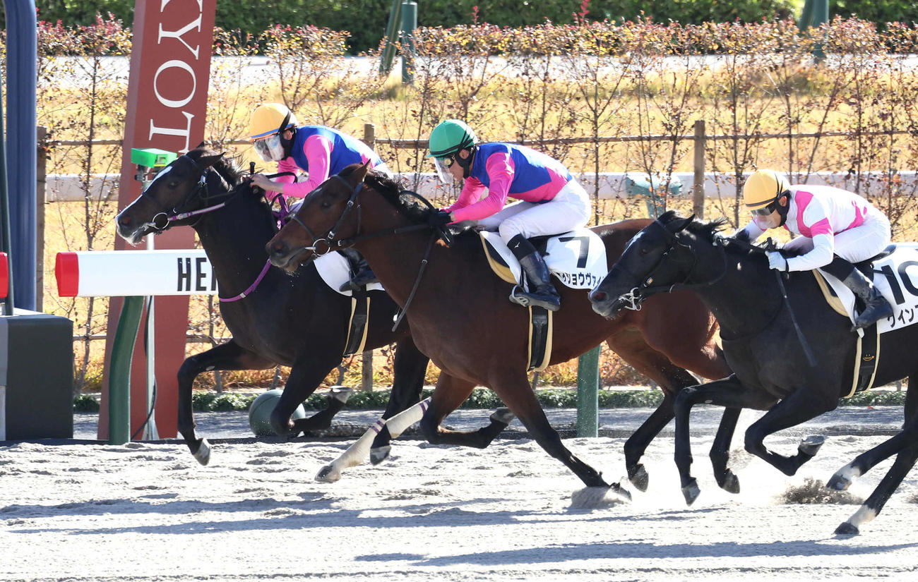 京都6R、直線抜け出して新馬戦を制したメイショウヤーキス（左）（撮影・白石智彦）