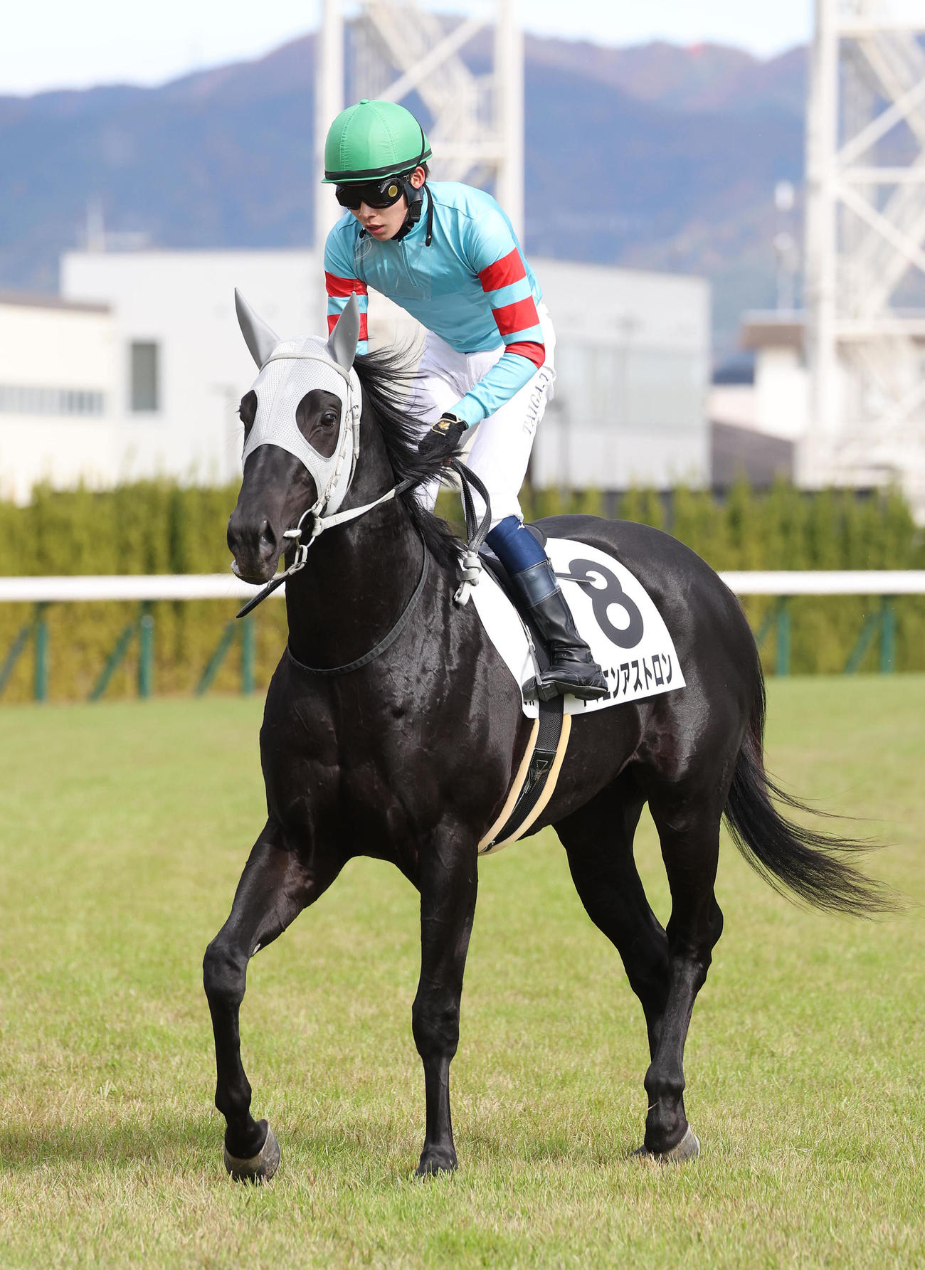 京都5R、新馬戦を制したヤマニンアストロン（撮影・白石智彦）