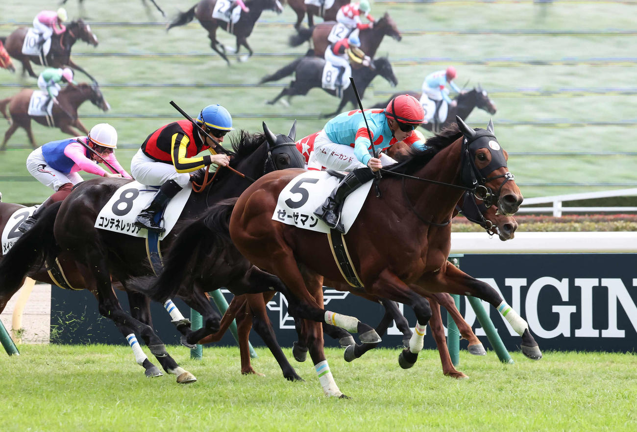 東京5R、2歳新馬戦を制したゼーゼマンとマーカンド騎手（撮影・丹羽敏通）