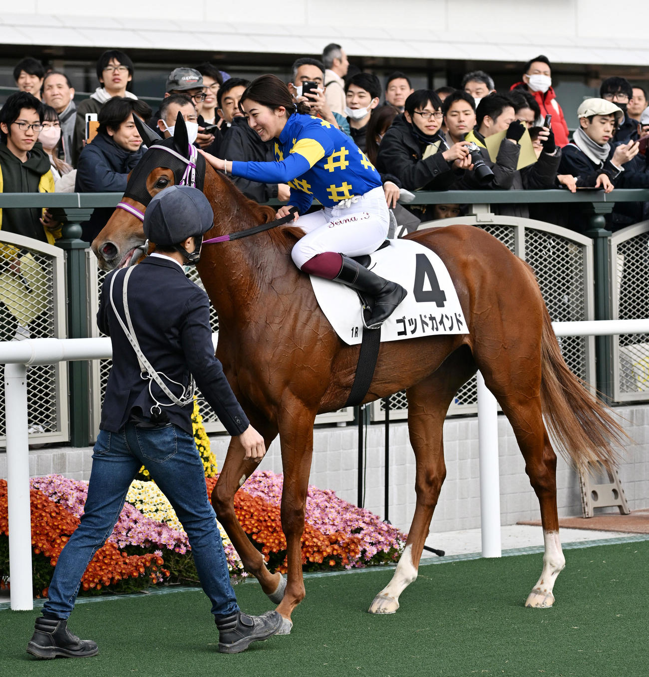 京都1Rを勝利したゴッドカインドと今村騎手（撮影・清水貴仁）