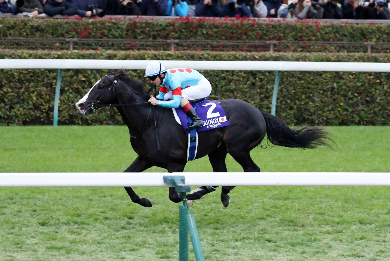 ジャパンCを制したイクイノックスとC・ルメール騎手（撮影・鈴木正人）