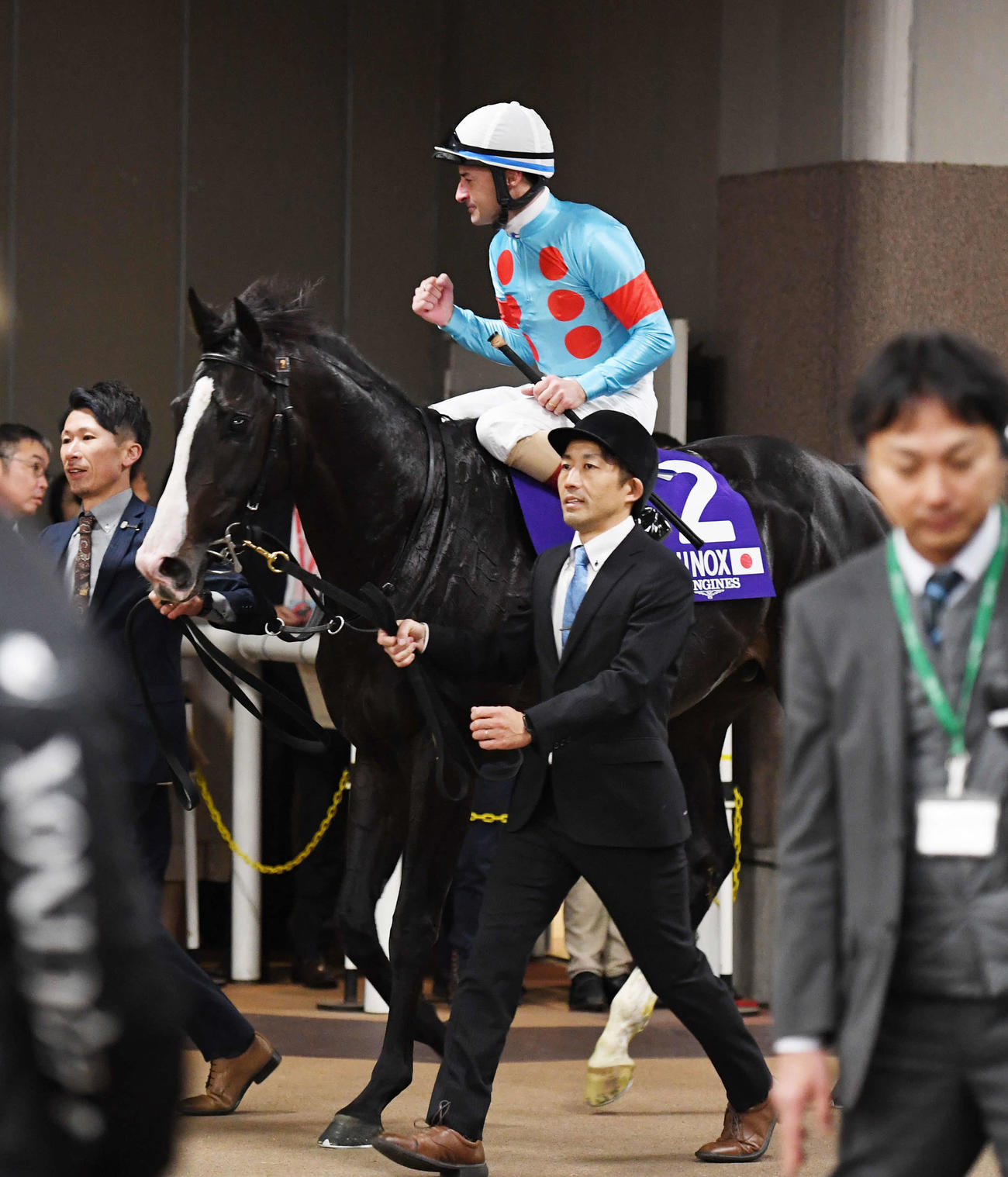 ジャパンCを制したイクイノックスのルメール騎手はガッツポーズする（撮影・柴田隆二）