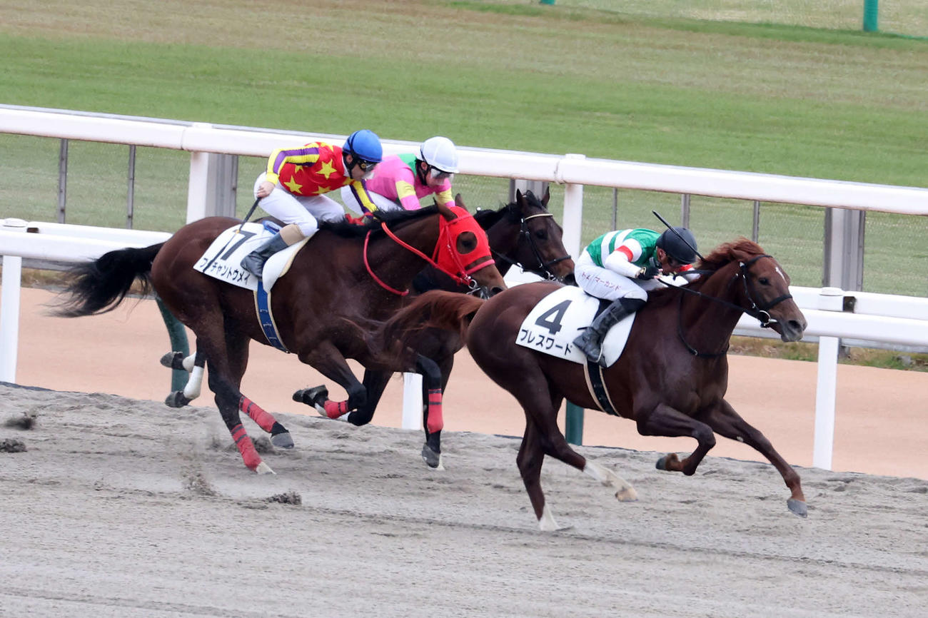 直線で抜け出し新馬戦を制したブレスワード（右）とマーカンド騎手（撮影・鈴木正人）