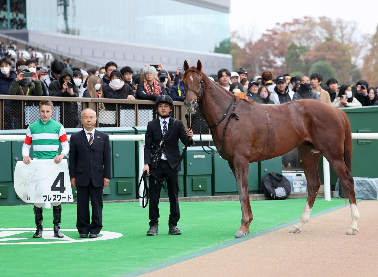 口取りに並ぶブレスワードとマーカンド騎手（撮影・鈴木正人）