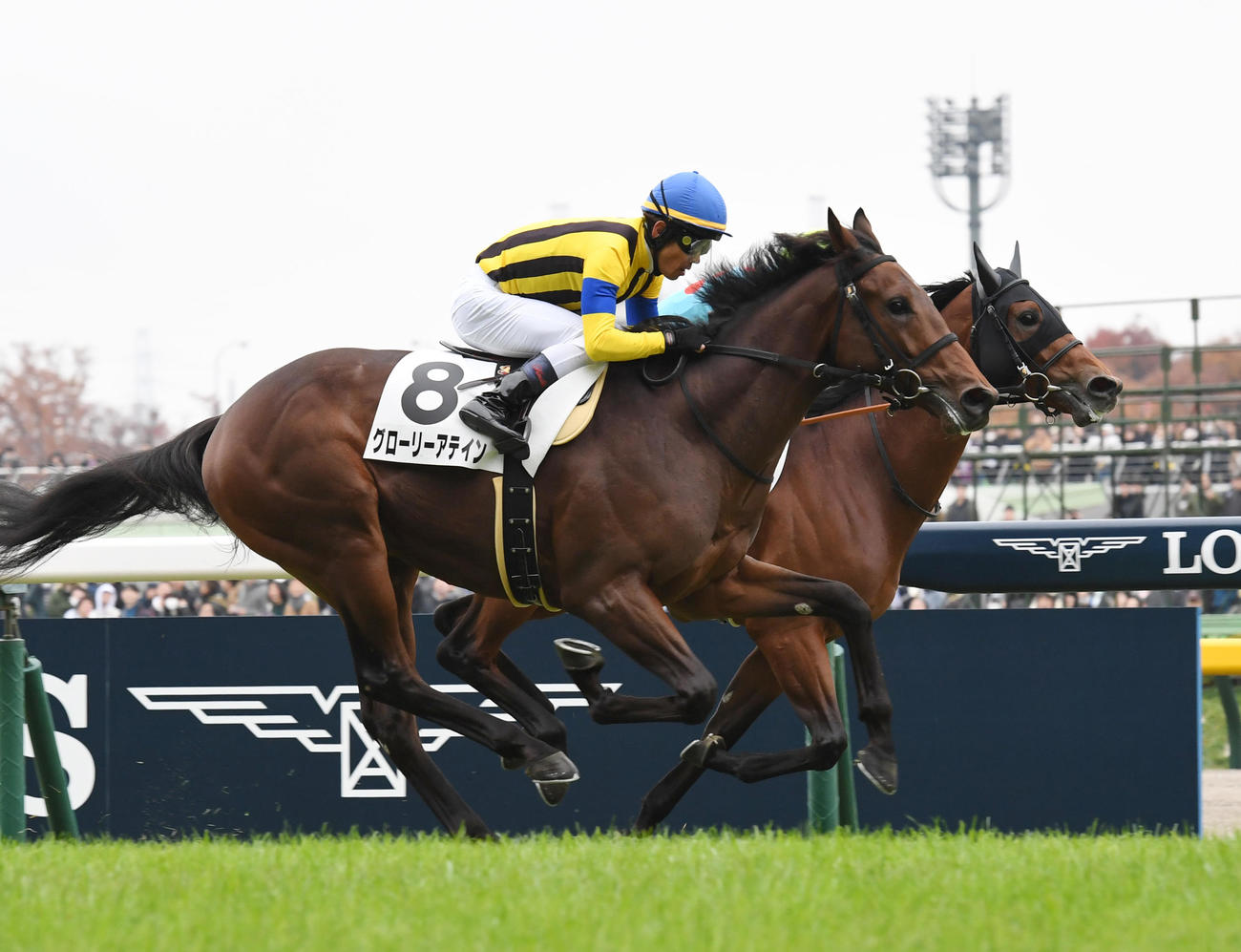 東京6R、新馬戦を制したグローリーアテイン（手前）、2着ウォータースケイプ（撮影・柴田隆二）