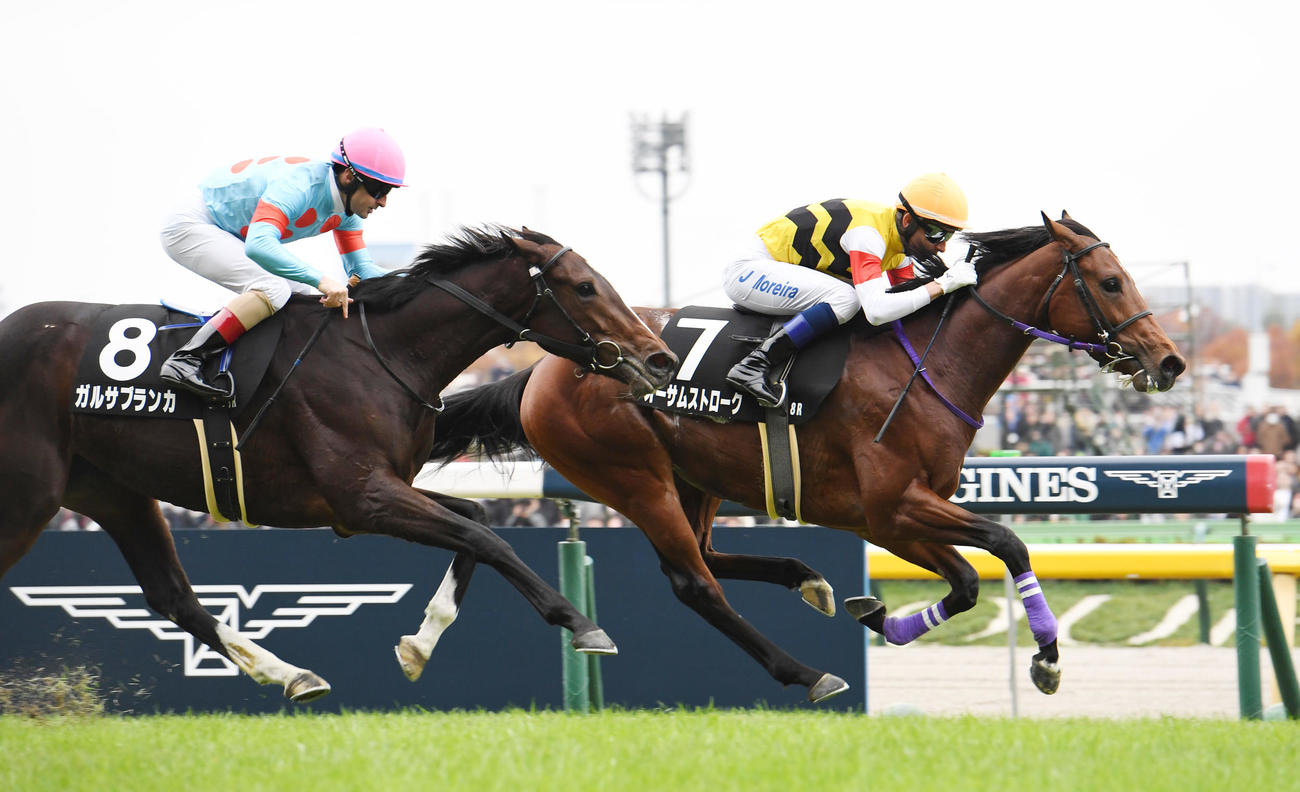 東京8R、ベゴニア賞を制したオーサムストローク（右）、2着ガルサブランカ（撮影・柴田隆二）