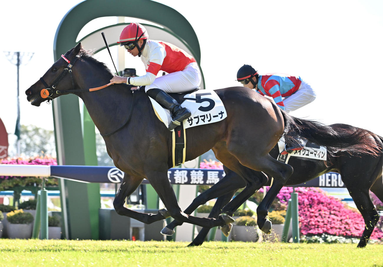 6Rメイクデビュー京都、新馬戦を制したサブマリーナと岩田望騎手（撮影・清水貴仁）