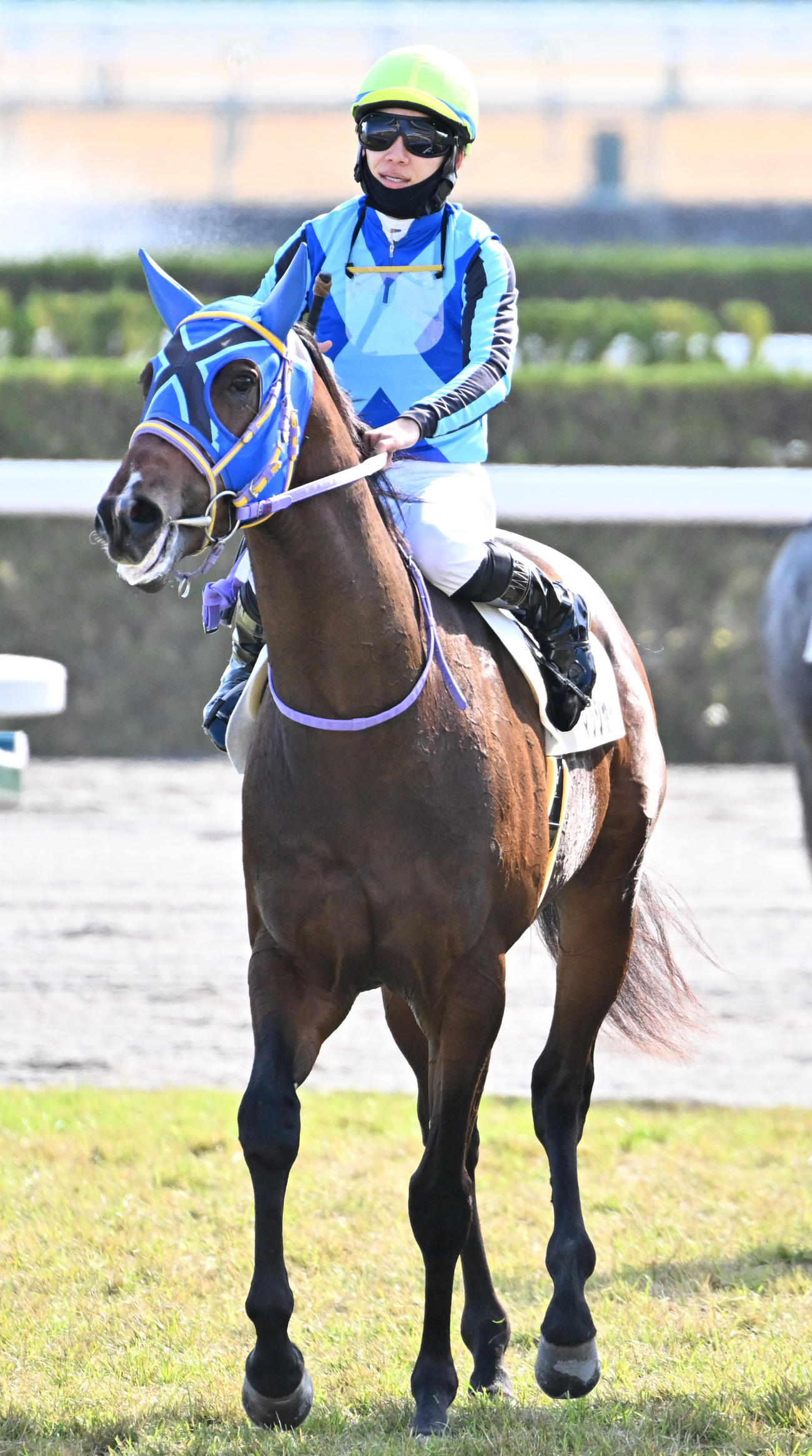 京都4R新馬戦を制したマッシャーブルムと松山騎手（撮影・清水貴仁）