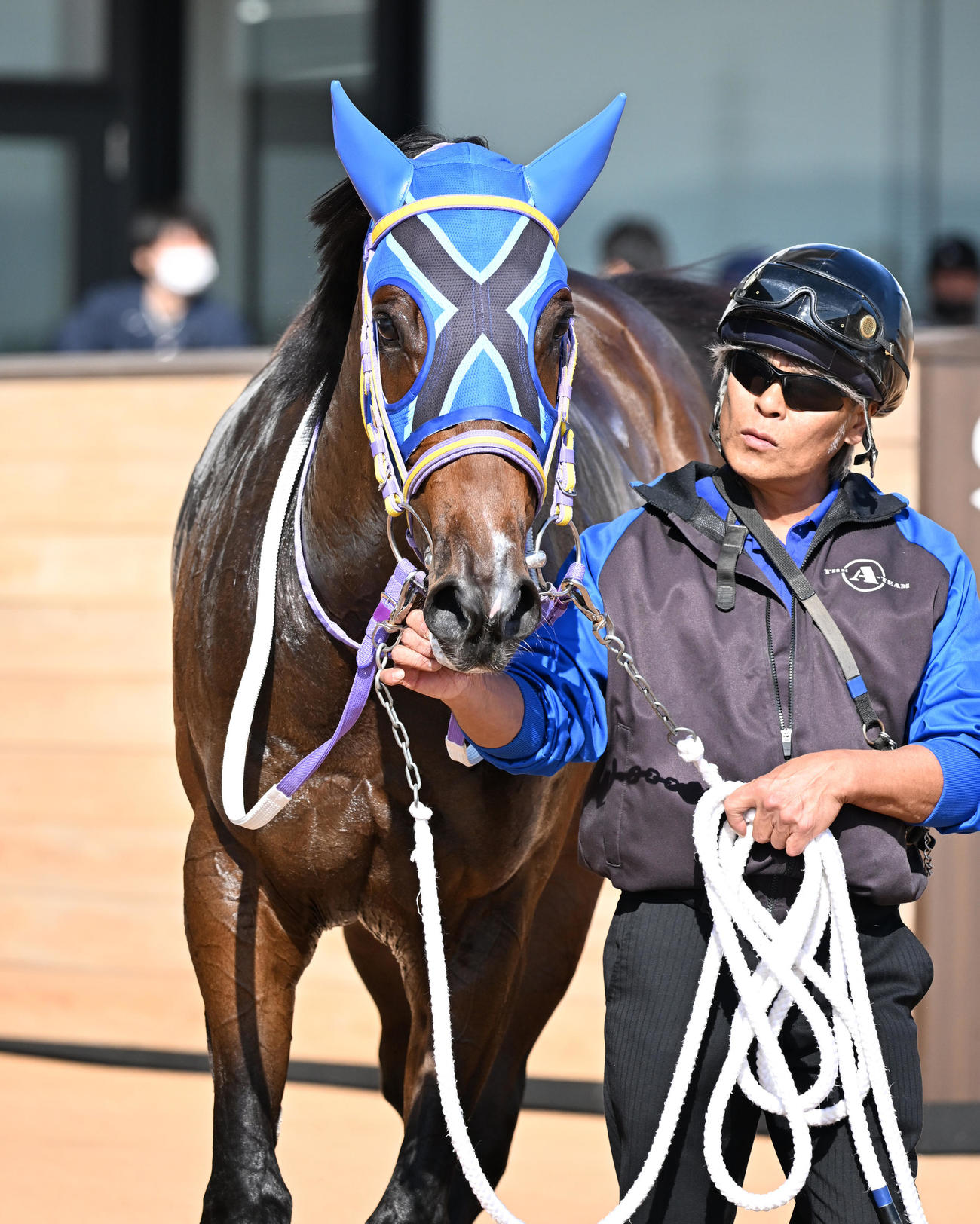 京都4R新馬戦を制したマッシャーブルムと松山騎手（撮影・清水貴仁）