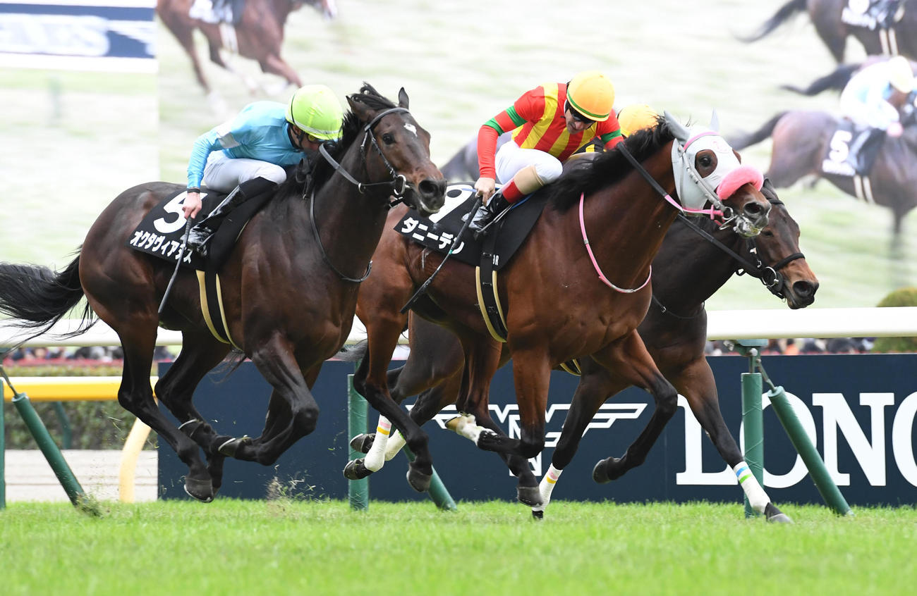 アーモンドアイMを制したダニーデン（中央）、2着オクタヴィアヌス（左）（撮影・柴田隆二）