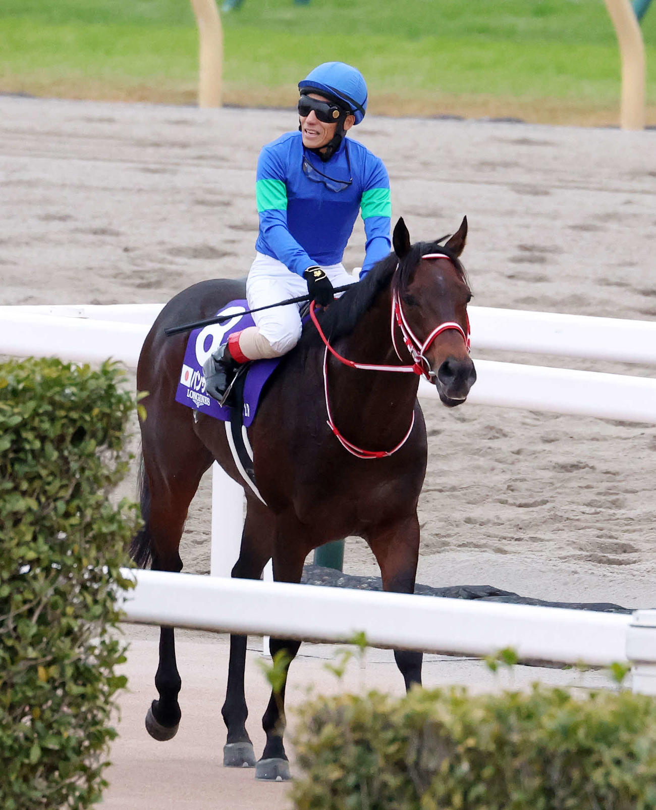 12着のパンサラッサと吉田豊騎手（撮影・鈴木正人）