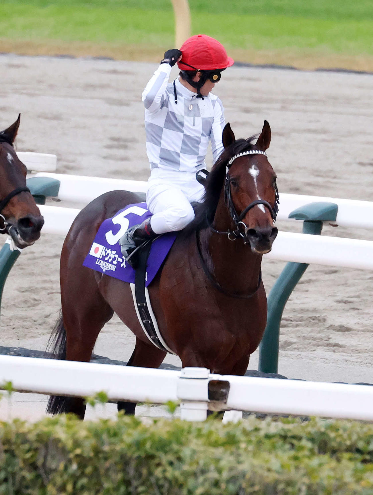 4着のドウデュースと戸崎圭太騎手（撮影・鈴木正人）
