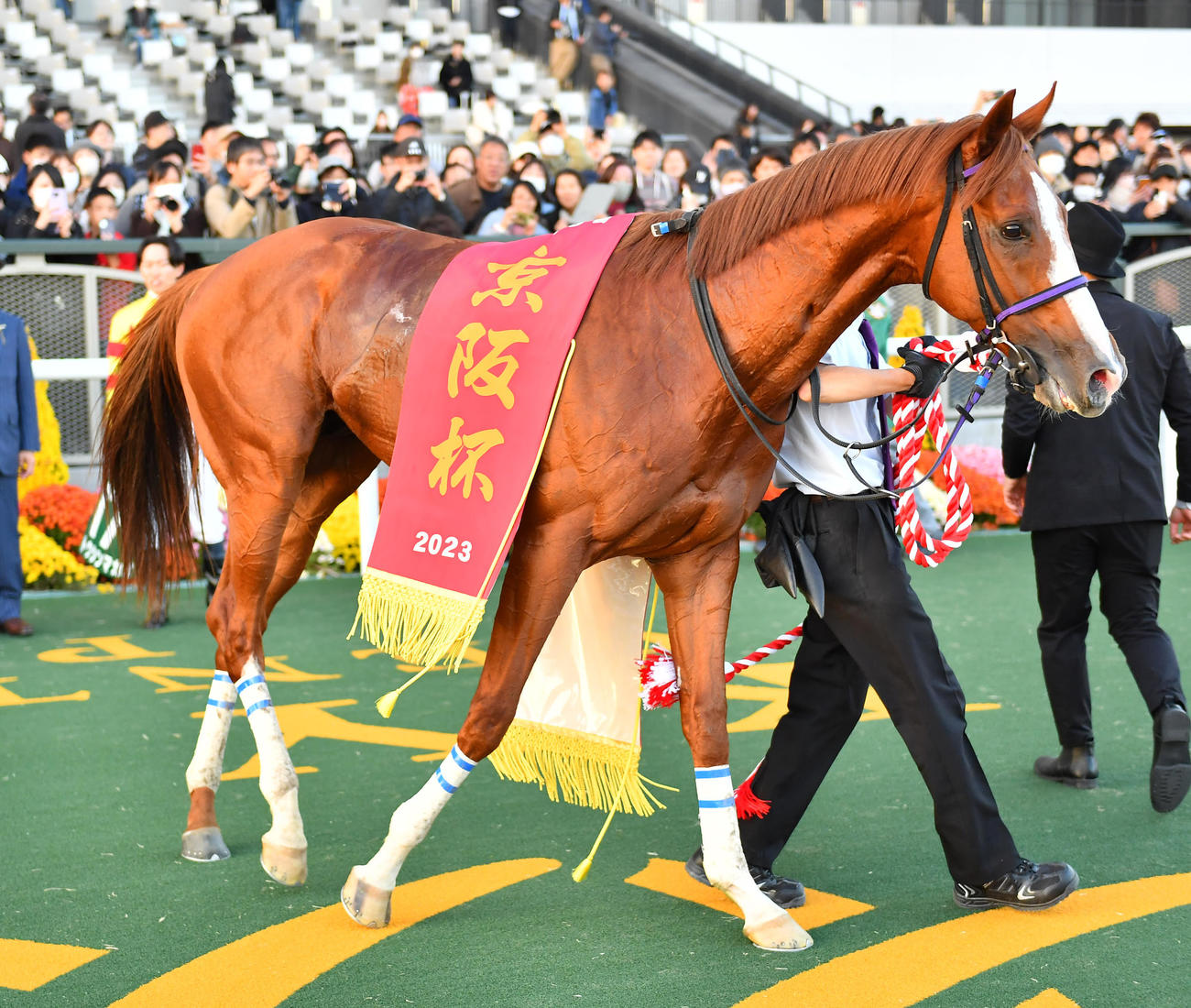 2年連続で京阪杯を制したトウシンマカオ（撮影・清水貴仁）