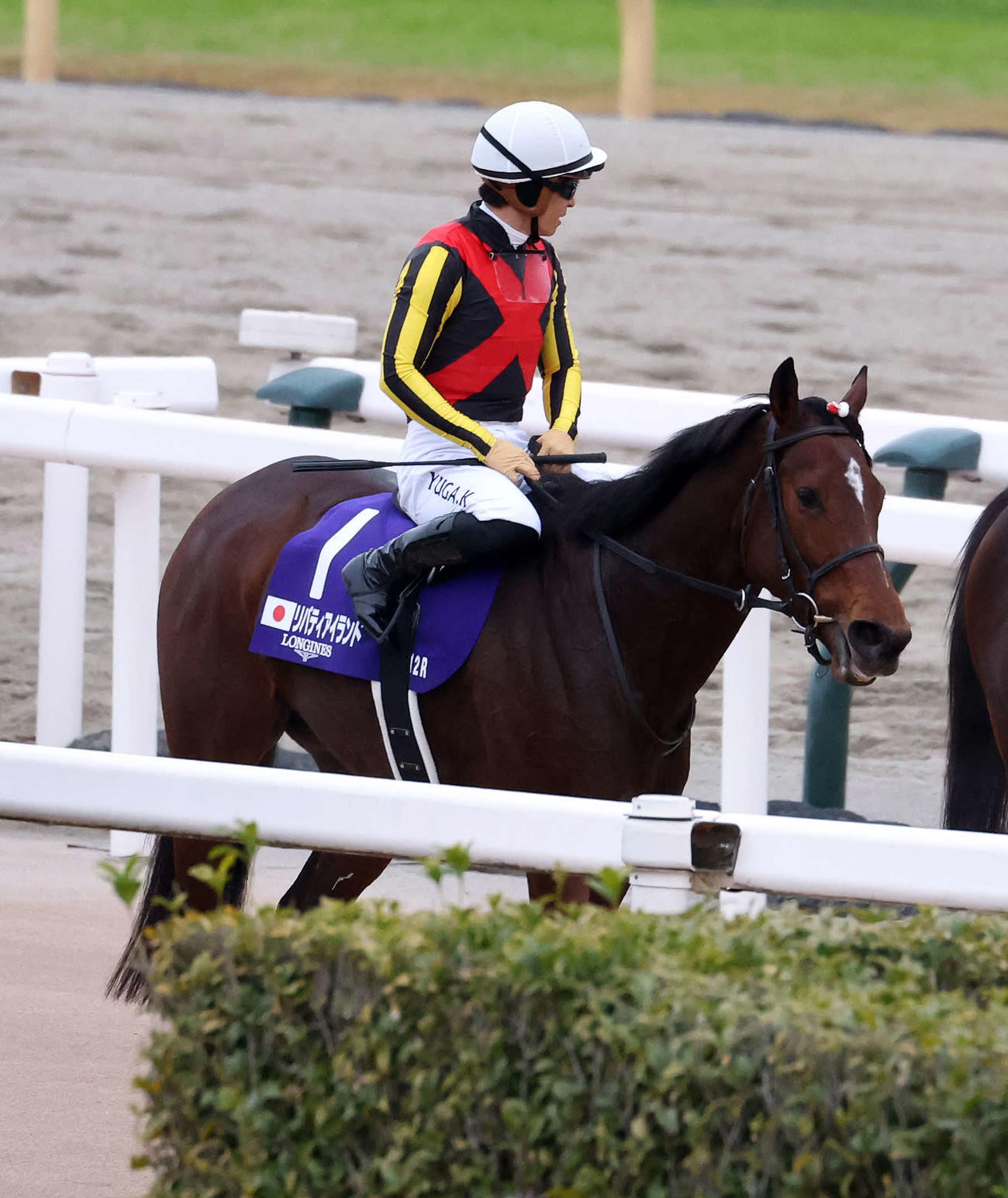 2着のリバティアイランドと川田将雅騎手（撮影・鈴木正人）