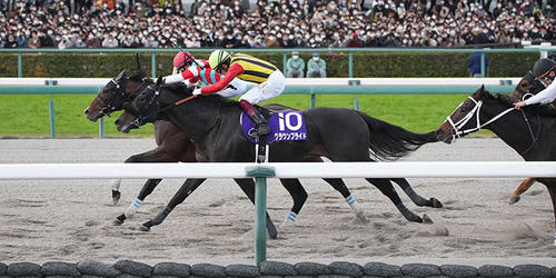 ジュンライトボルト（奥）が豪快に差し切り、チャンピオンズCを制した。2着はクラウンプライド（手前）。（撮影・森本幸一）＝2022年12月4日、中京競馬場