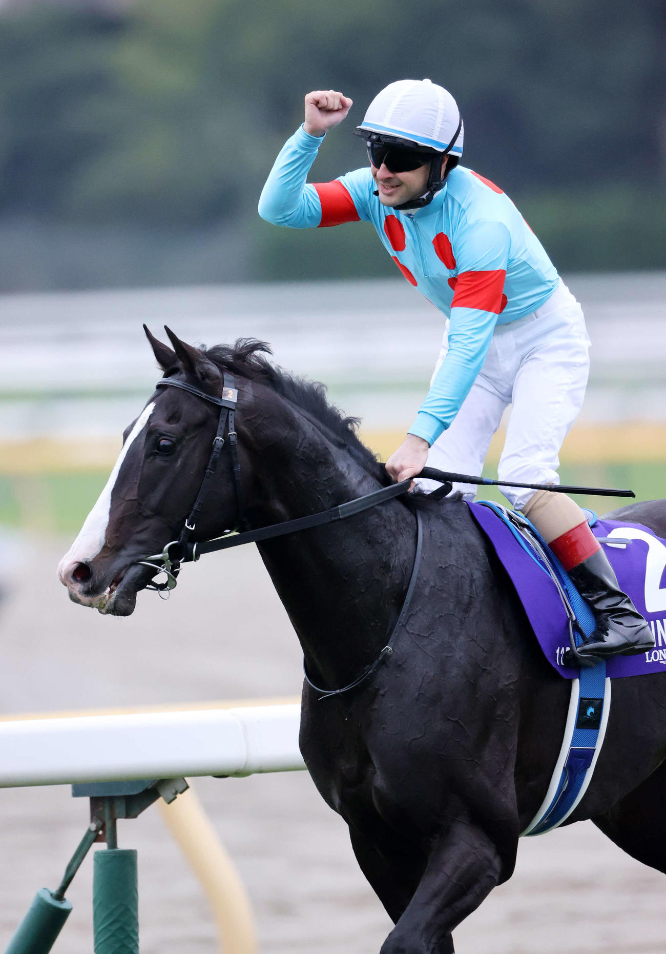 ジャパンCを制したイクイノックスとガッツポーズするC・ルメール騎手