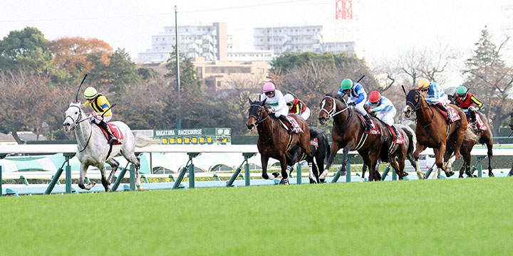 ステイヤーズSを制したシルヴァーソニック（左）とD．レーン騎手（撮影・鈴木正人）＝2022年12月3日、中山競馬場