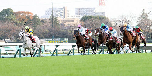 ステイヤーズSを制したシルヴァーソニック（左）とD．レーン騎手（撮影・鈴木正人）＝2022年12月3日、中山競馬場