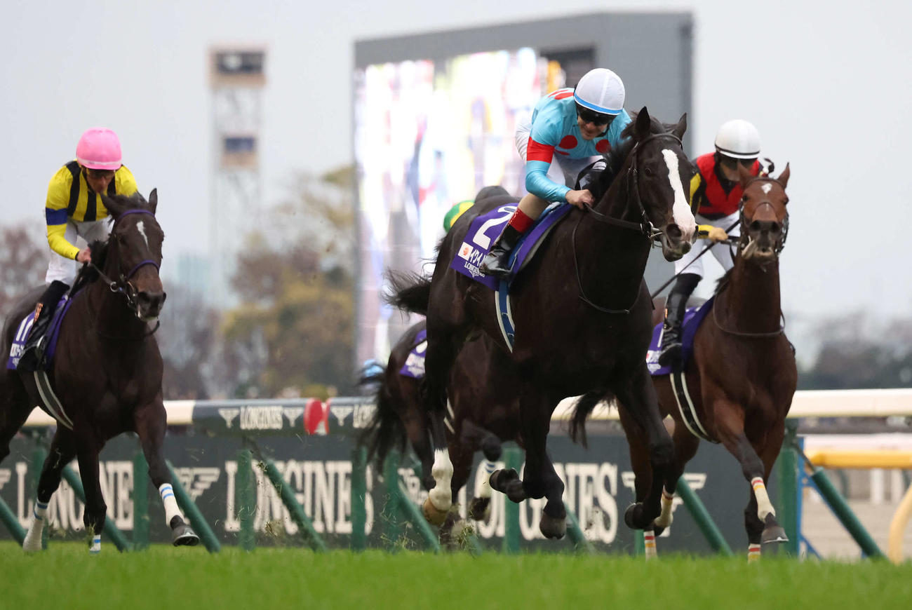 ジャパンCを制したイクイノックス（中央）。右は2着リバティアイランド、左は3着スターズオンアース