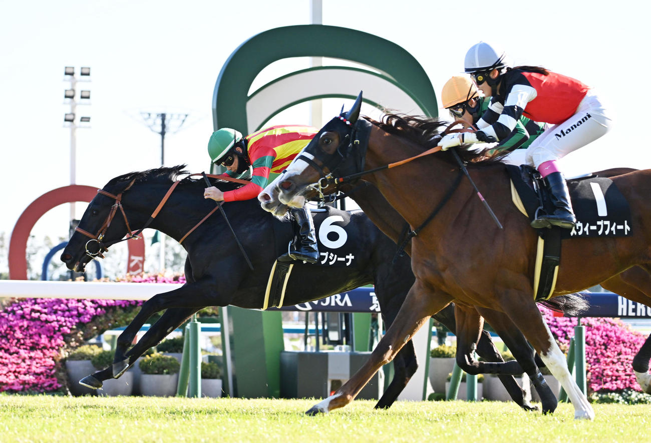9R、白菊賞を制したプシプシーナ（左）と西村淳騎手（撮影・清水貴仁）