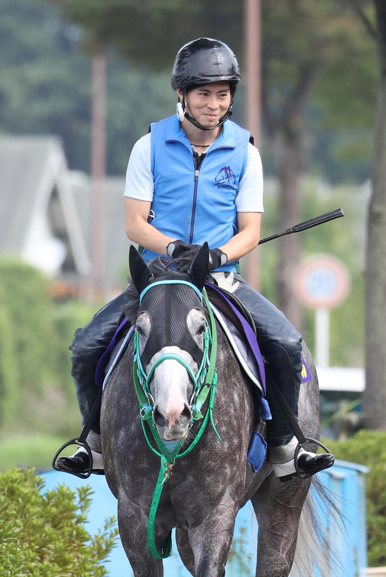 厩舎周りで運動するマッドクール（撮影・白石智彦）