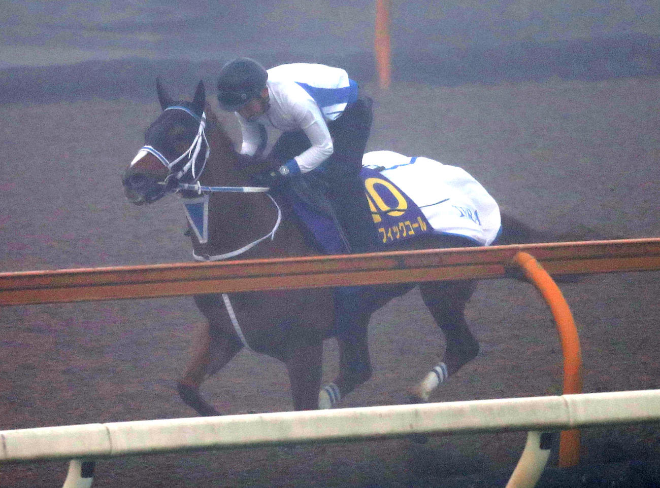 23日、濃霧のCウッドを単走で追い切るセラフィックコール